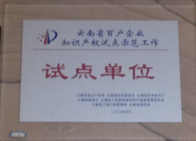 2007年，云南省百戶企業(yè)只是產(chǎn)權(quán)試點(diǎn)示范單位試點(diǎn)單位.jpg