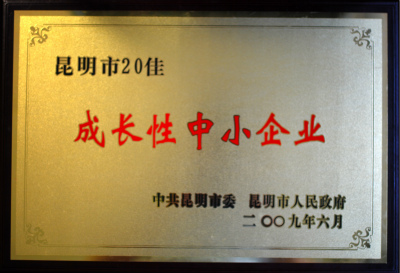 2009年，昆明市20佳成長(zhǎng)性中小企業(yè).jpg