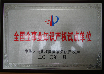 2010年，全國企事業(yè)知識產(chǎn)權(quán)試點(diǎn)單位.jpg