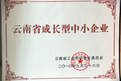 2010年，云南省成長(zhǎng)型中小企業(yè).jpg