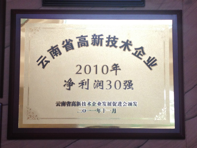 2011年，云南省高新技術(shù)企業(yè)2010年凈利潤30強.jpg