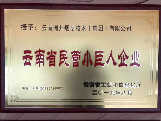 云南民營小巨人企業(yè).png