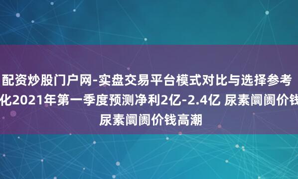 配资炒股门户网-实盘交易平台模式对比与选择参考 ST宜化2021年第一季度预测净利2亿-2.4亿 尿素阛阓价钱高潮