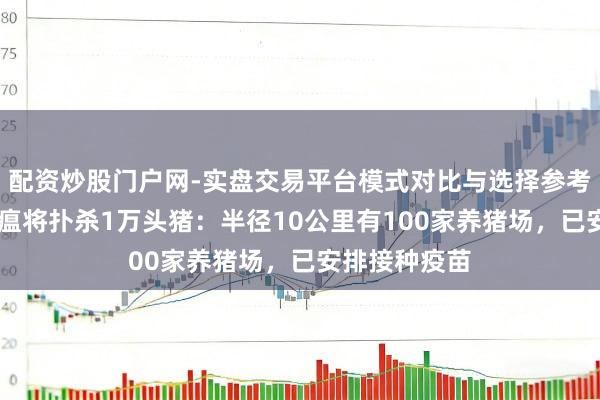 配资炒股门户网-实盘交易平台模式对比与选择参考 日本发生猪瘟将扑杀1万头猪:半径10公里有100家养猪场,已安排接种疫苗